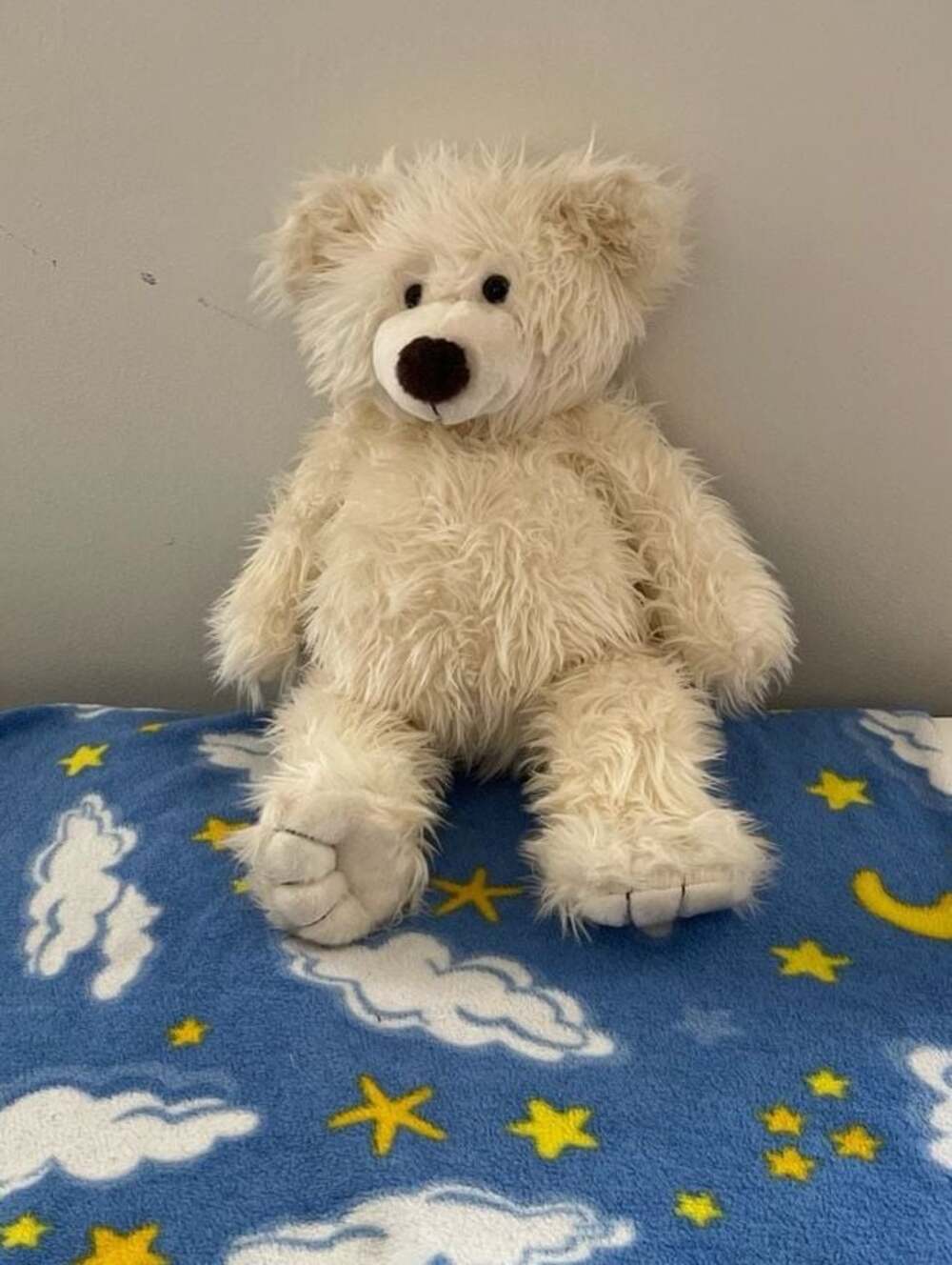 Build-A-Bear Workshop Shaggy Cream Polar Bear Plush, 25th Year 2007 Brown Eyes 1 - Picture 2 of 5